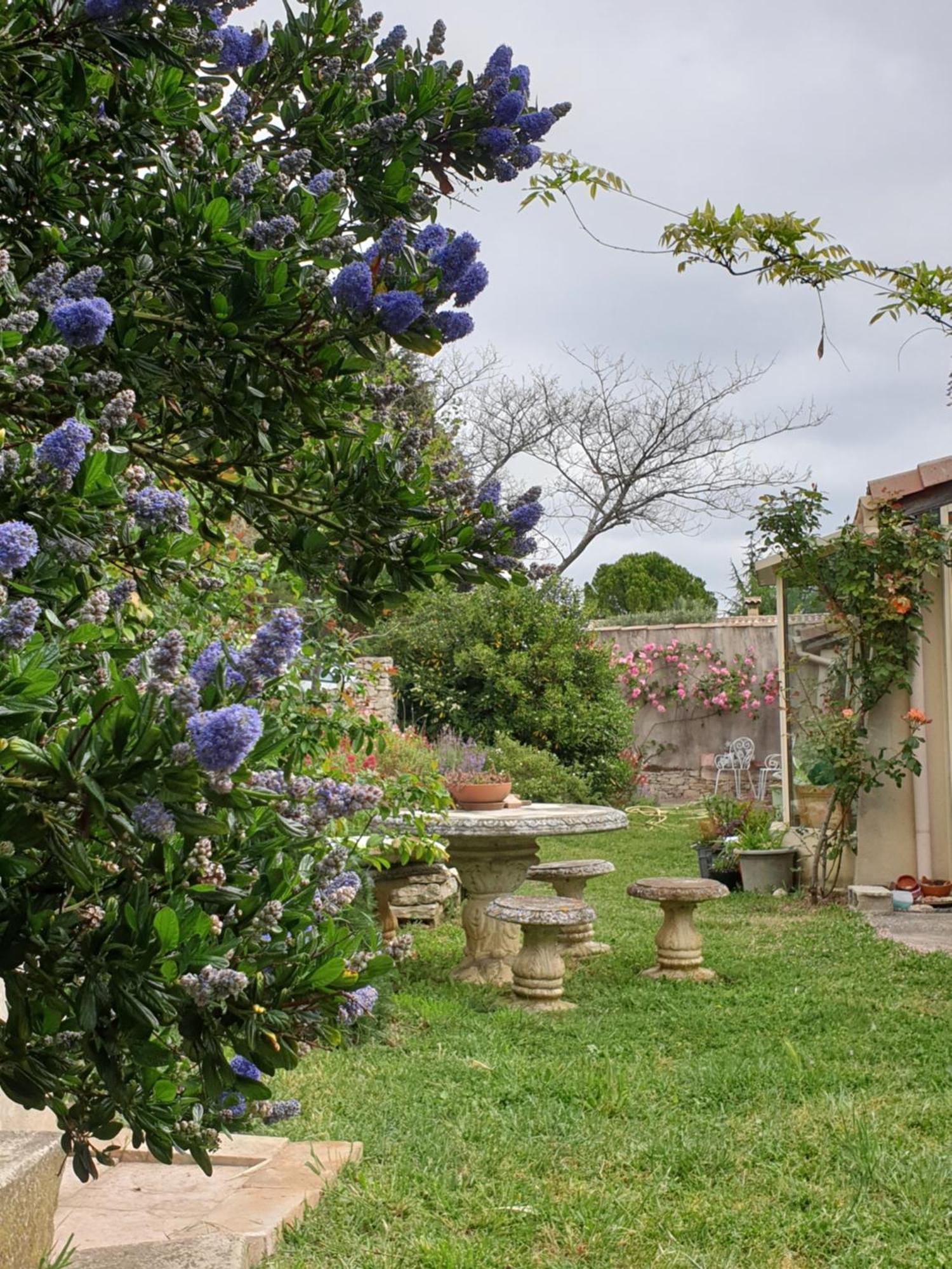 Pause Couleur Lavandula Roussas ภายนอก รูปภาพ